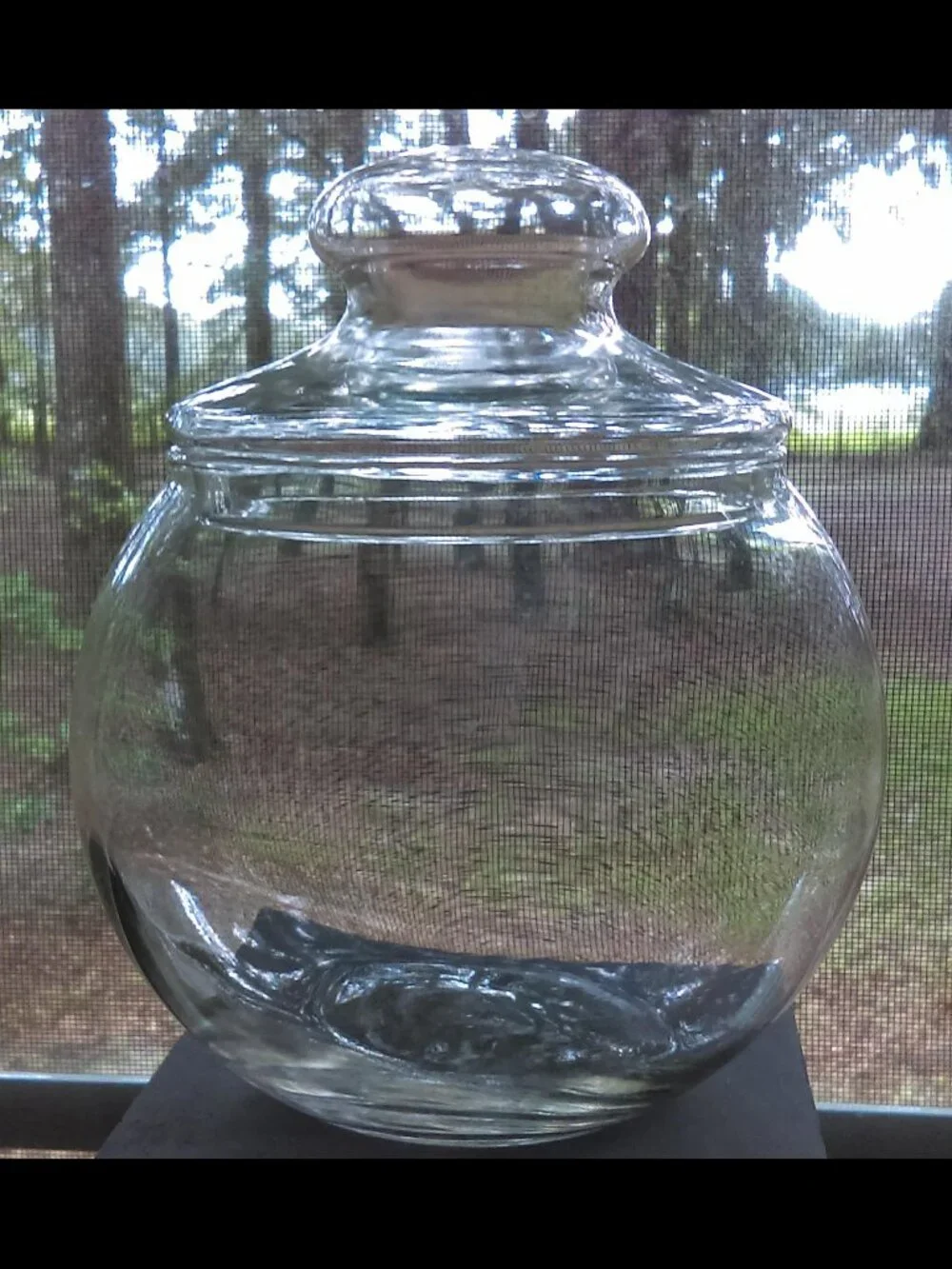 Clear Glass Round Cookie Candy Jar Apothecary Wedding Display Candy Bar with Lid